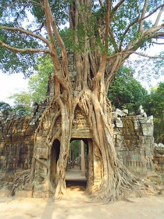 Ta Som Khmer Temple at Angkor